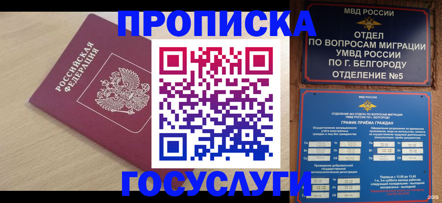 прописка законно в Дубовке